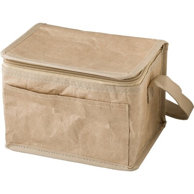 Paper cooler bag